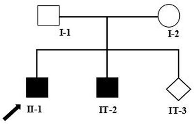 Identification of a Novel Nonsense Mutation in PLA2G6 and Prenatal Diagnosis in a Chinese Family With Infantile Neuroaxonal Dystrophy